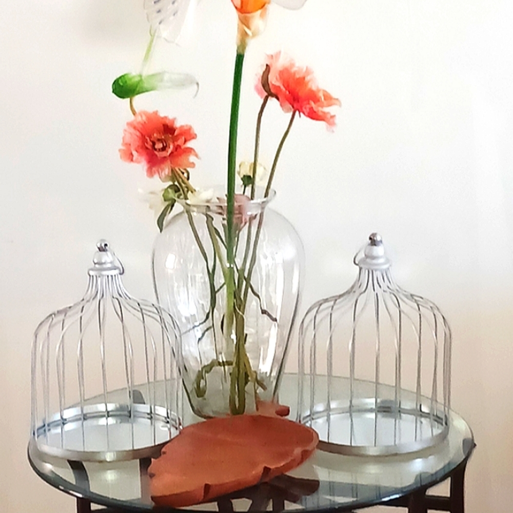 Wire Cloches